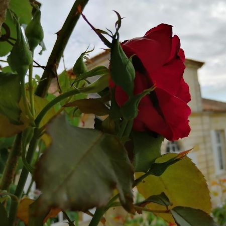 Domaine Du Chauvet Otel Sainte-Eulalie  Dış mekan fotoğraf