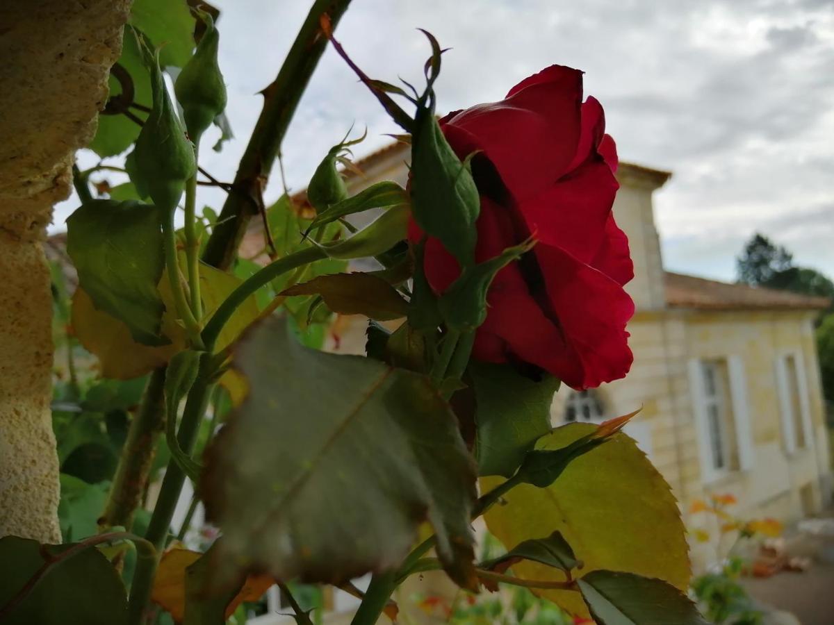 Domaine Du Chauvet Otel Sainte-Eulalie  Dış mekan fotoğraf